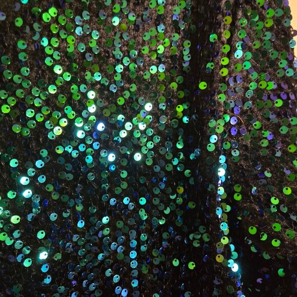 Anthropologie Sequin Velvet Sweatshirt Peacock Green Blue Black Stunning Size S - Picture 7 of 9